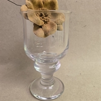 tivoli-enkelt-Vinglas-Holmegaard-oeglas-